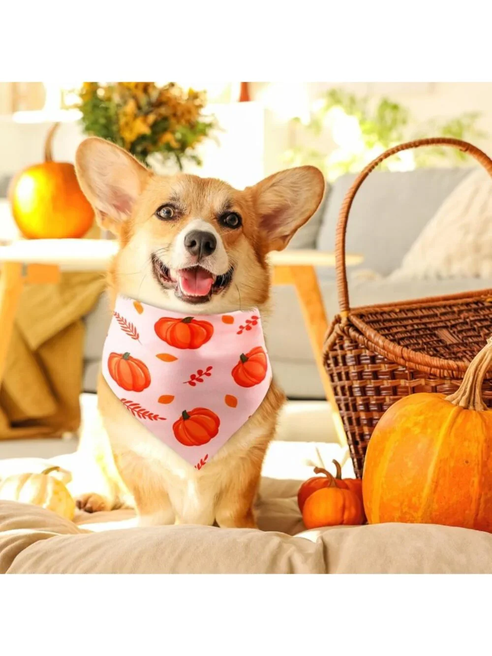 200 Pcs Fall Dog Bandanas - Autumn Pumpkin & Maple Leaves Patterns for Pets